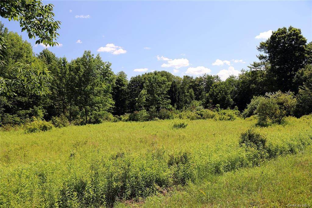 Tr 34 Road - Photo 1
