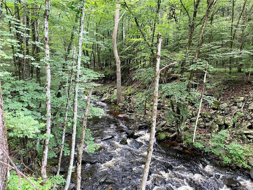 650 State Route 42 - Photo 1