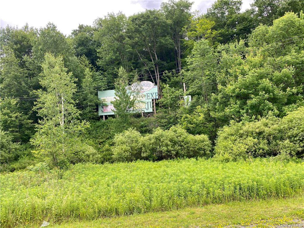 Interstate 86 - Photo 1
