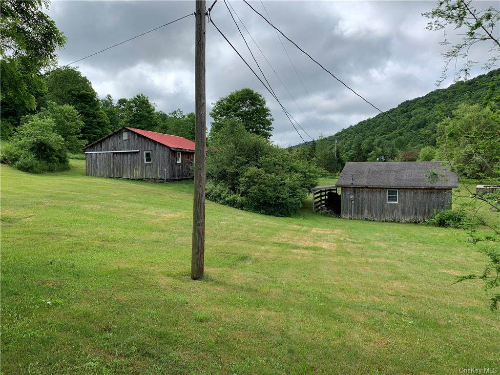 4333 Carcass Brook Road - Photo 1