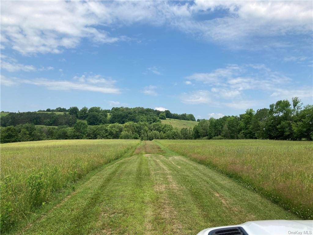 Willi Hill Road - Photo 1