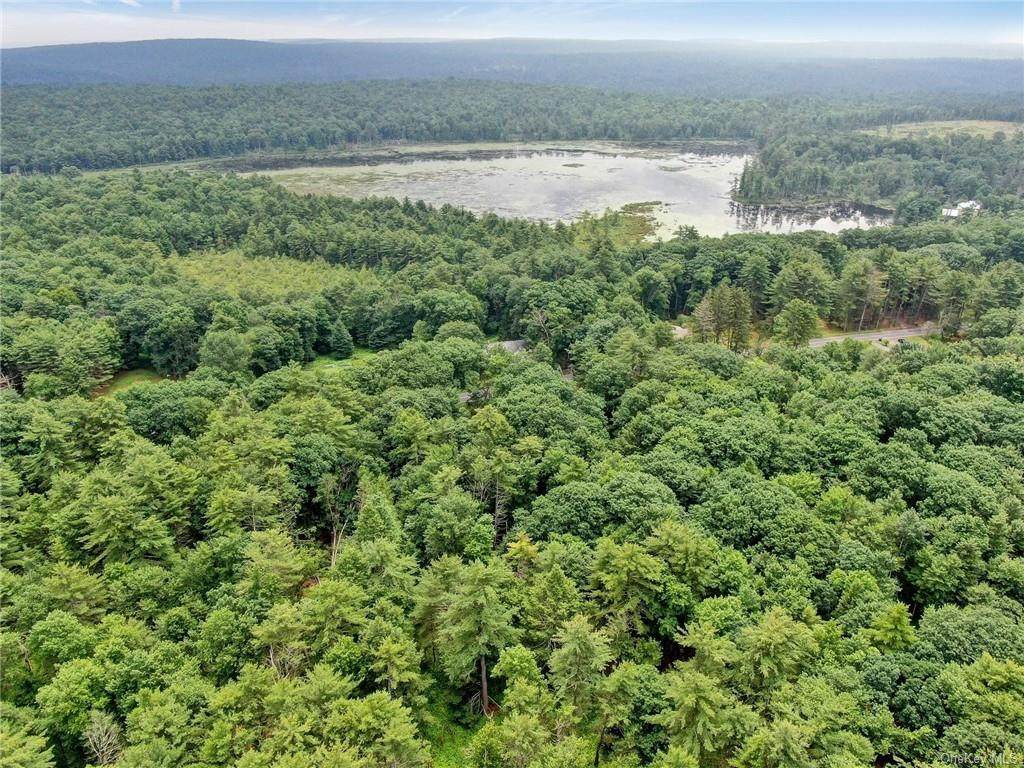 Sackett Lake Road - Photo 1