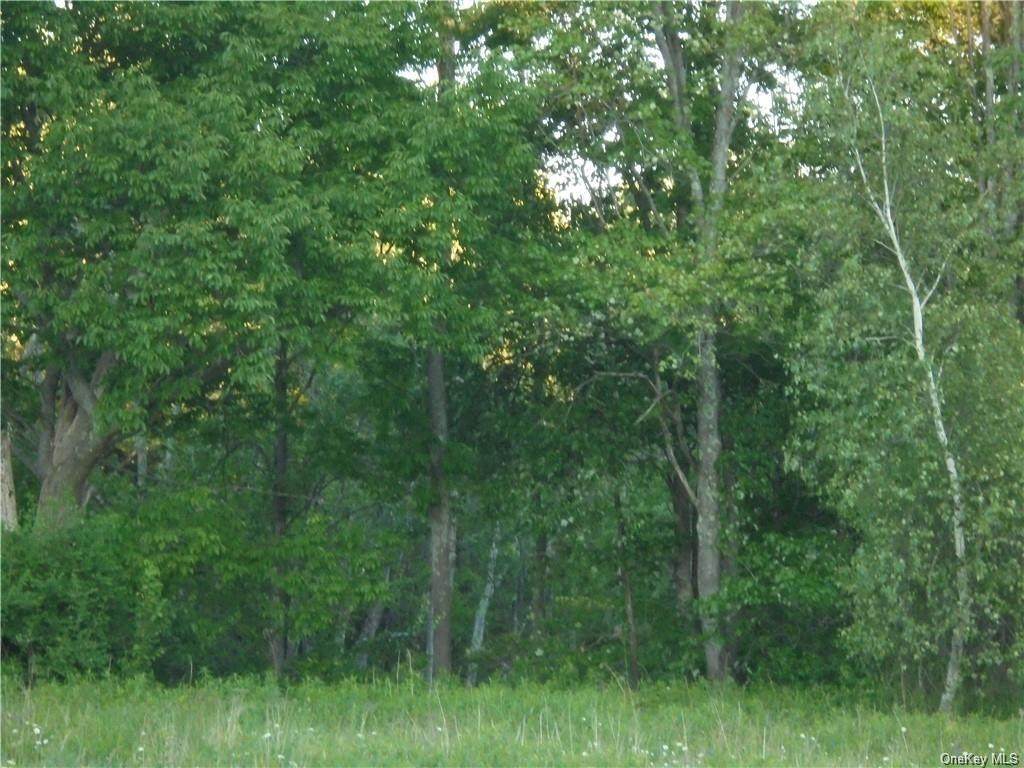 55 Beech Street - Photo 1