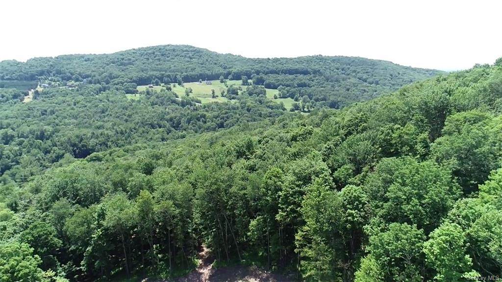 185 Branch Callicoon Ctr Road - Photo 1