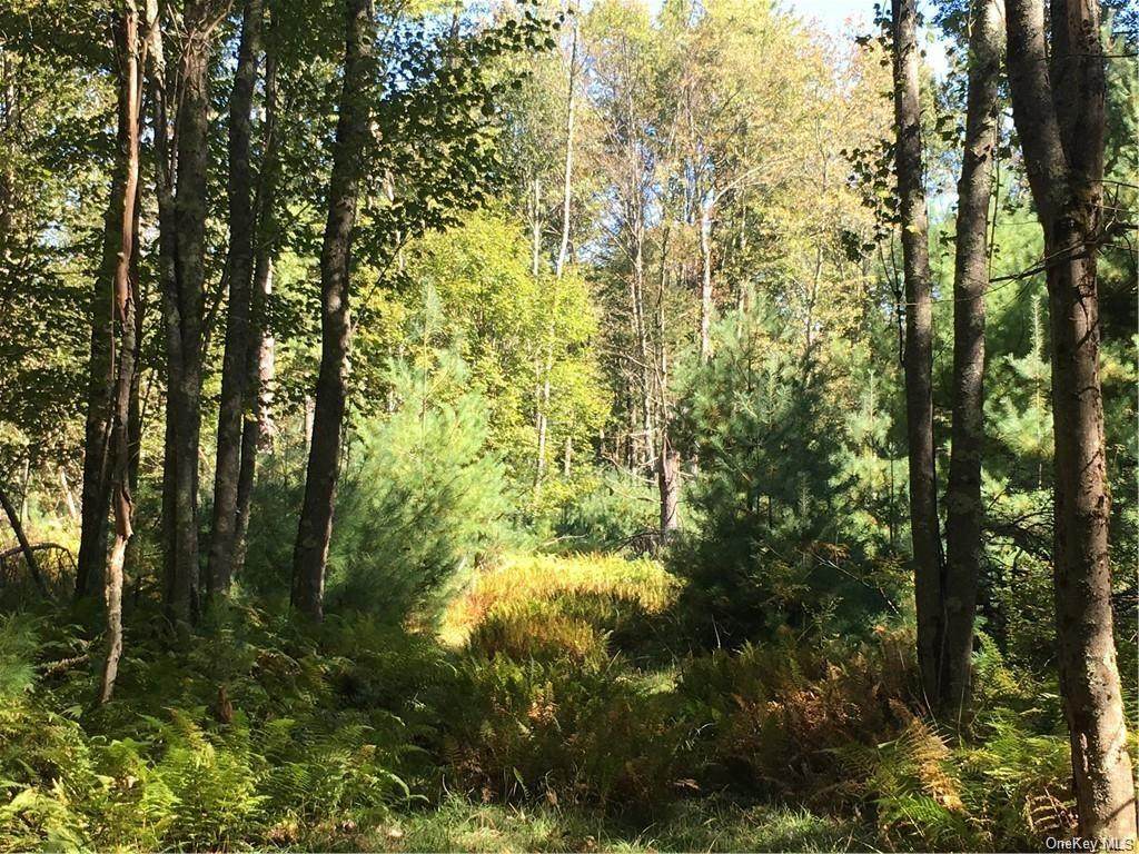 Maplewood Road - Photo 1