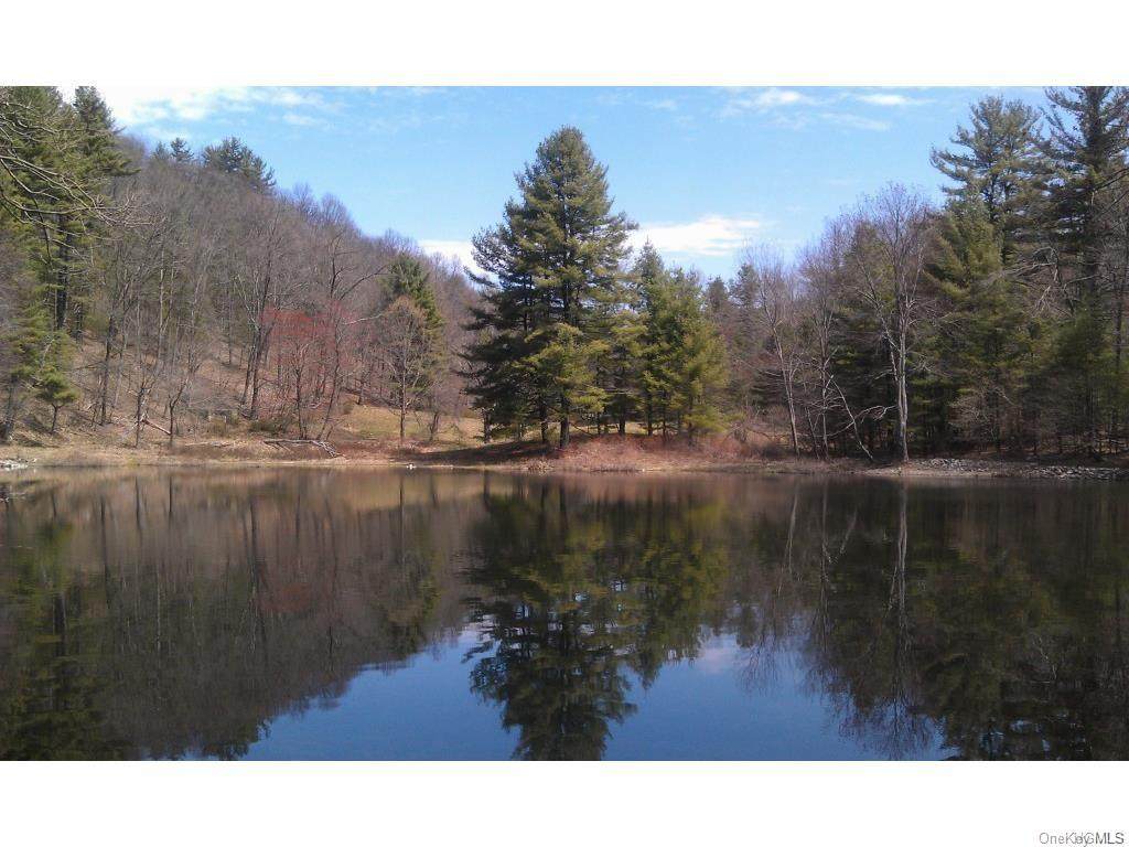 118 Firehouse Road - Photo 1