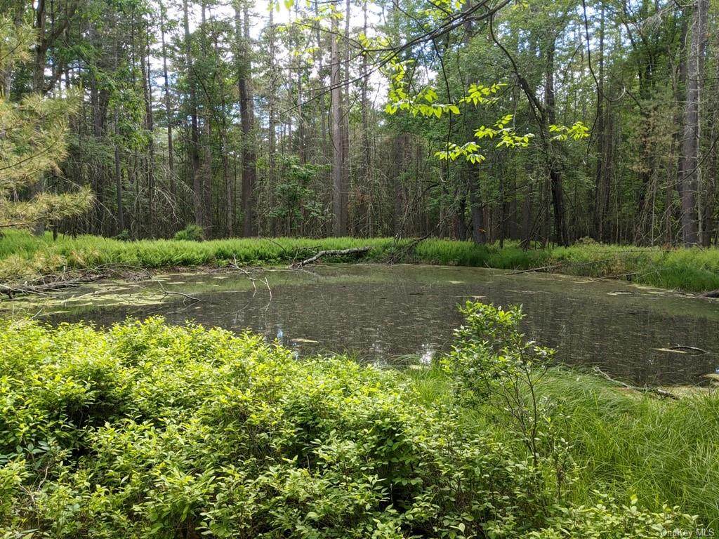 861 State Route 55 - Photo 1