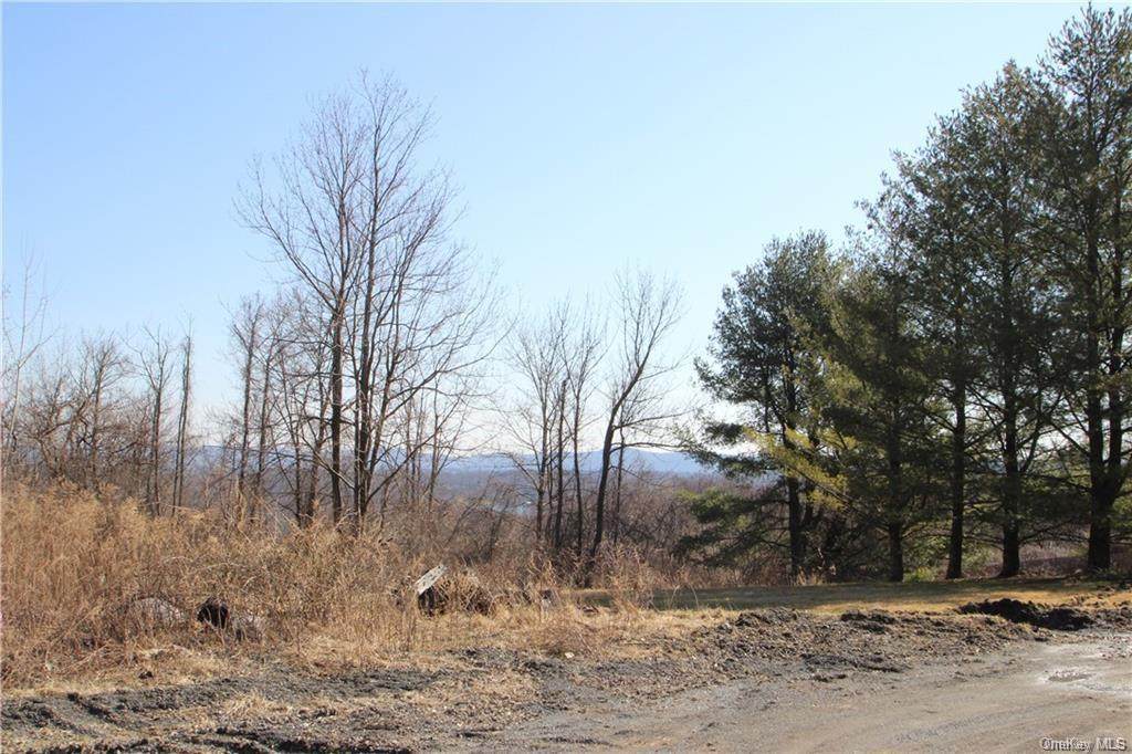Mombasha Road - Photo 1