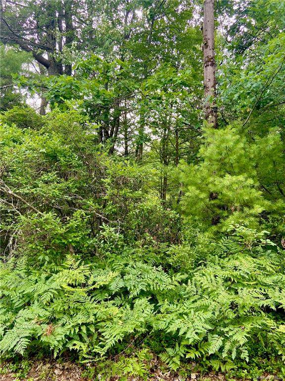 3F-1-76 Forestburgh Road - Photo 1