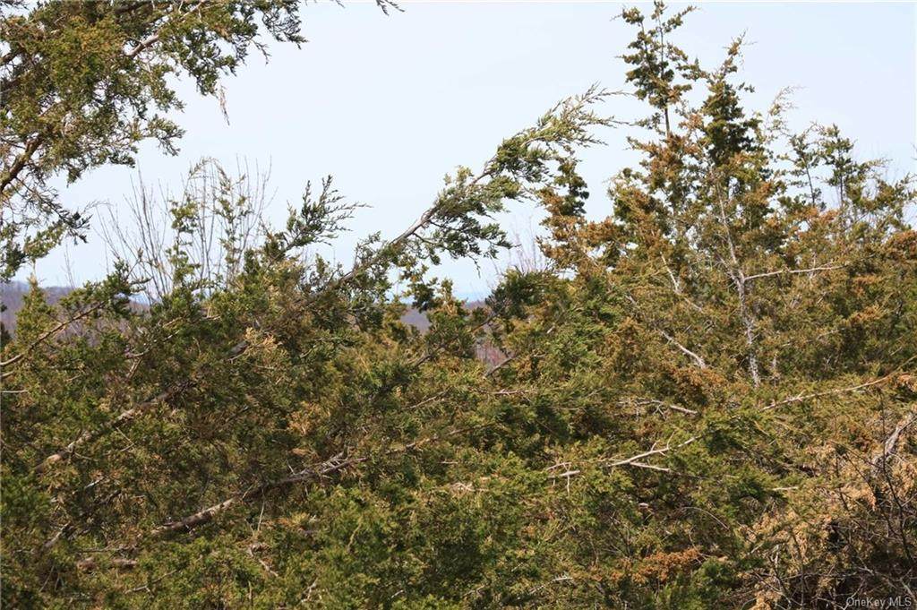 Hillside Road - Photo 1