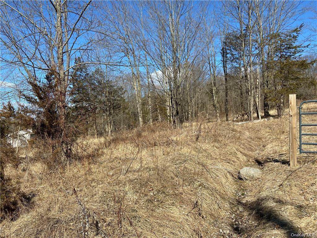 146 Pine Island Turnpike - Photo 1