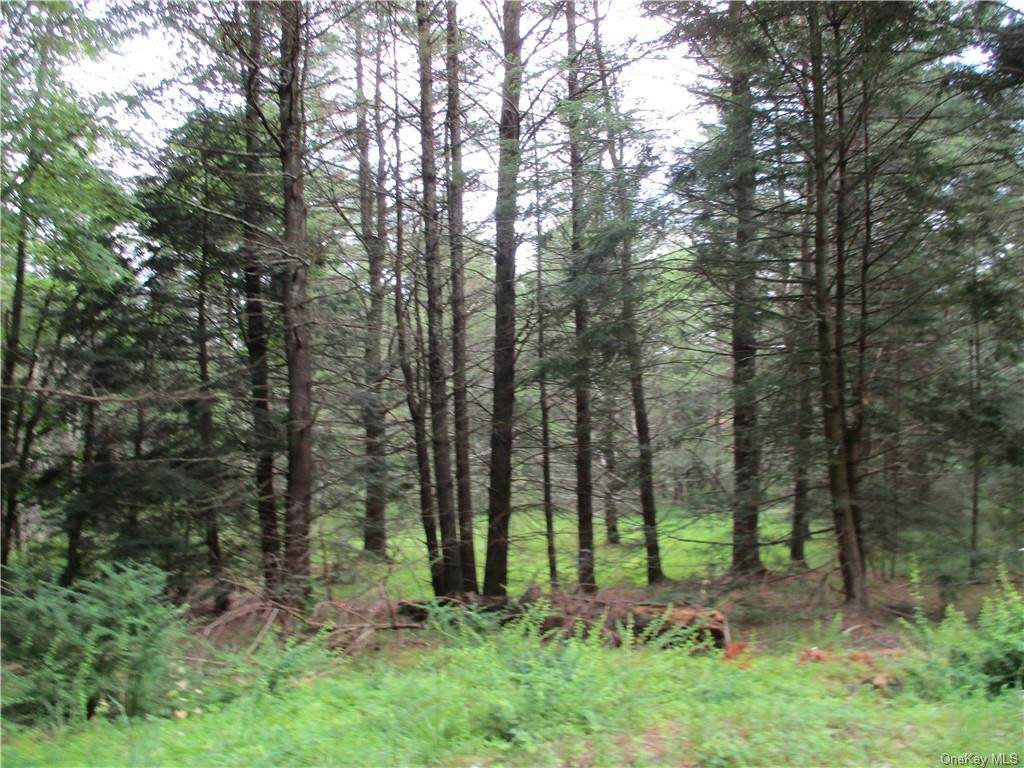 Upper Pine Kill Road - Photo 1