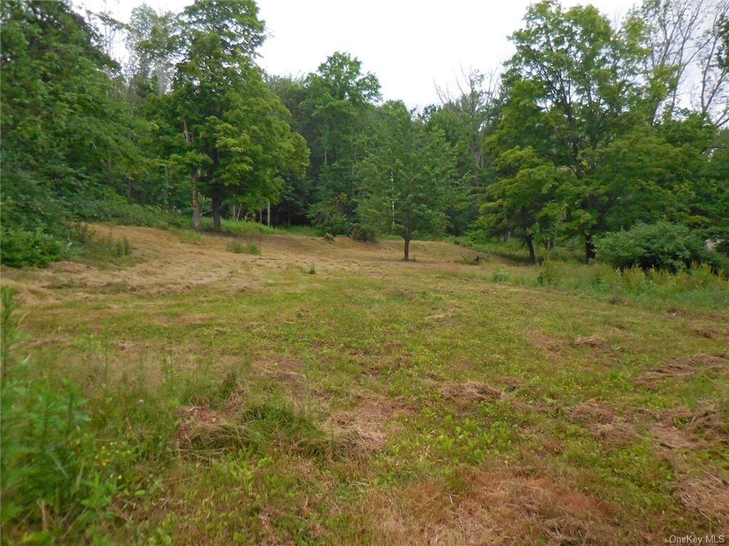 49 Porter Road - Photo 1