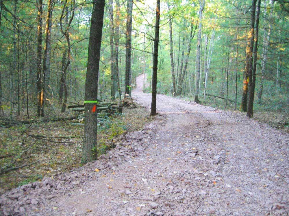 Lot 11.1 Split Rock Drive - Photo 1