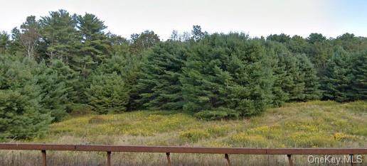 1352 State Route 42 - Photo 1