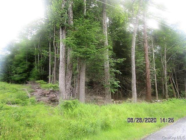 Lot 45.11 Pine Tree Road - Photo 1