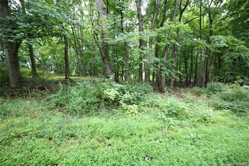 Bull Mill Road - Photo 1