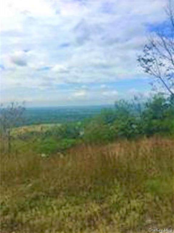 35 Schuyler Road - Photo 1