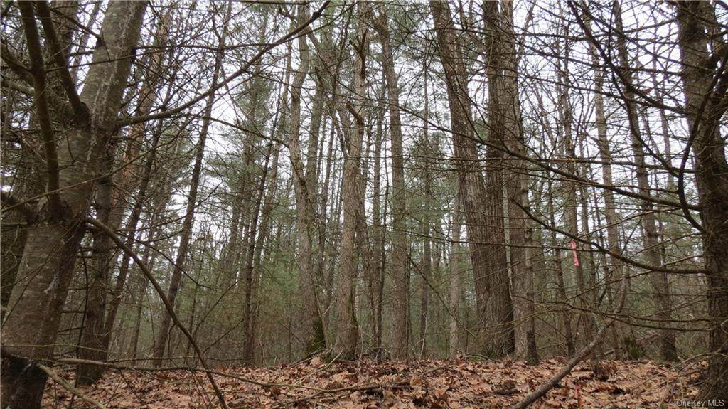 Lot #15 Nys Rt. 97 - Photo 1