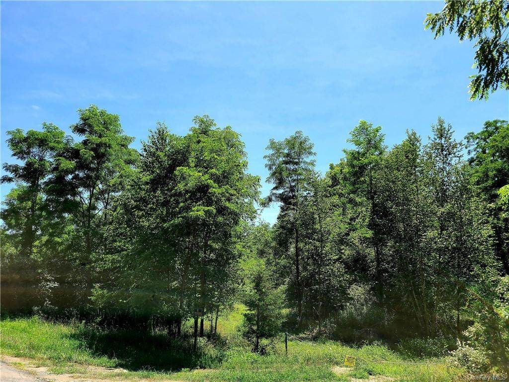 Meyer Rd/Pine Lane - Photo 1