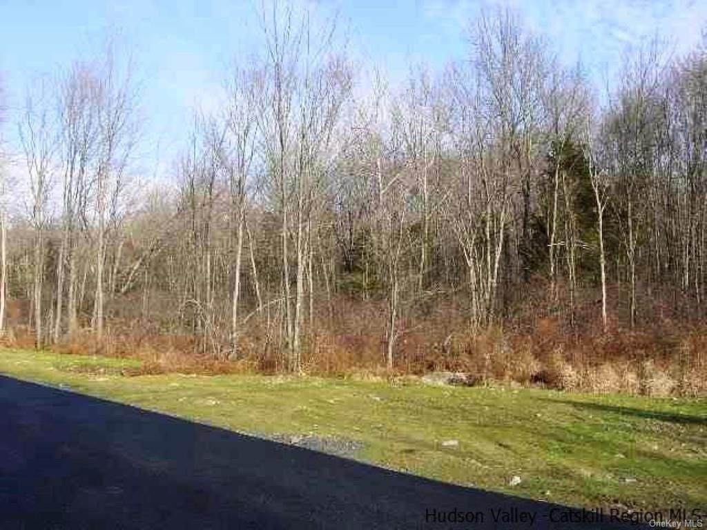 TBD Lot #5 Huckleberry Turnpike - Photo 1