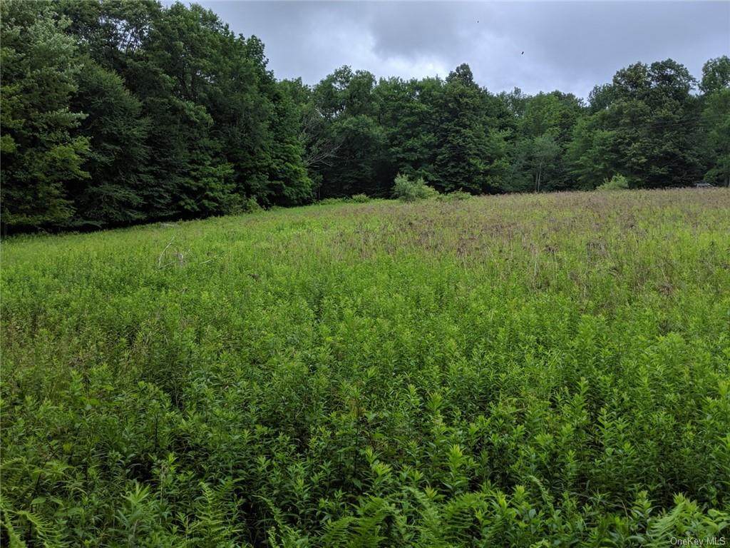 515 Callicoon Center Road - Photo 1