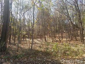 45 Diltz Road - Photo 1