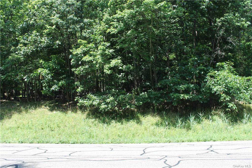 185 Pleasant Hill Road - Photo 1