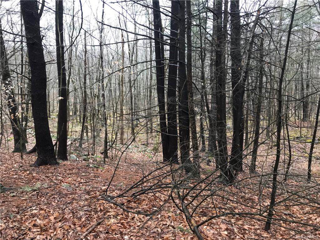 87 Susan Lane - Photo 1