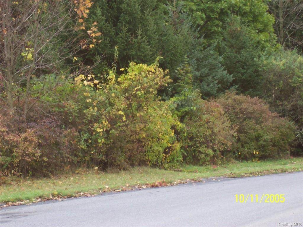 College Lane - Photo 1