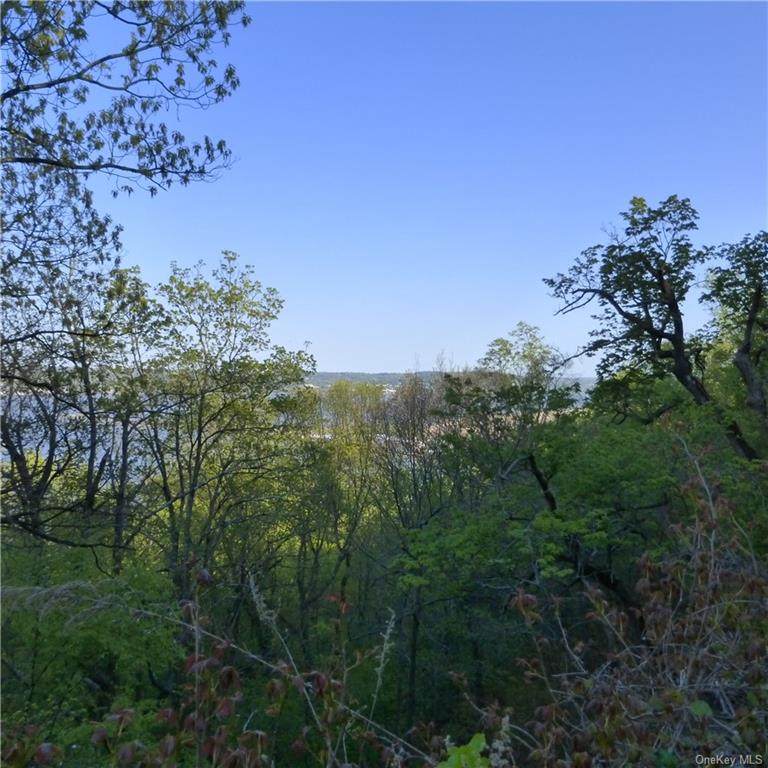 766 Us Hwy 9W - Photo 1