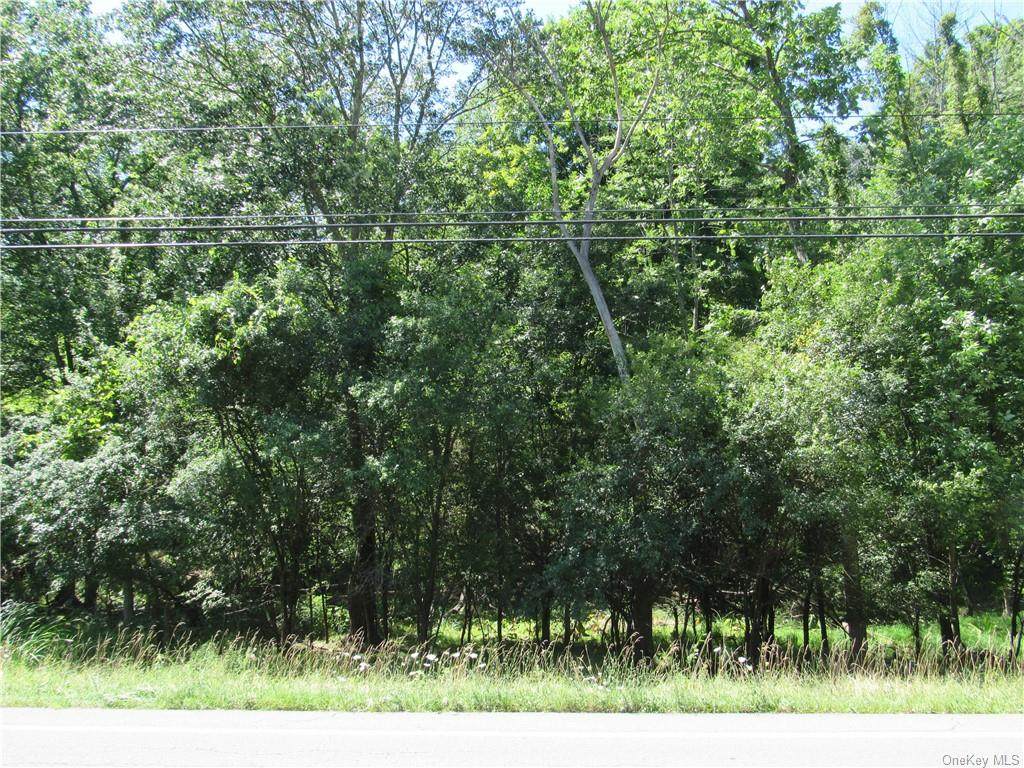 243 Scotchtown Road - Photo 1