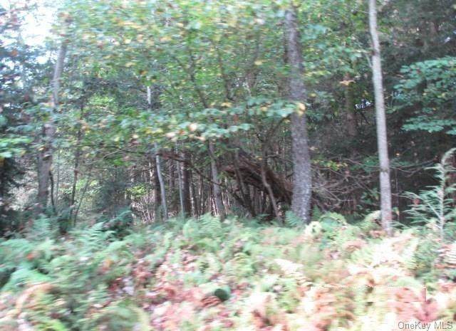 178 Flynn Road - Photo 1