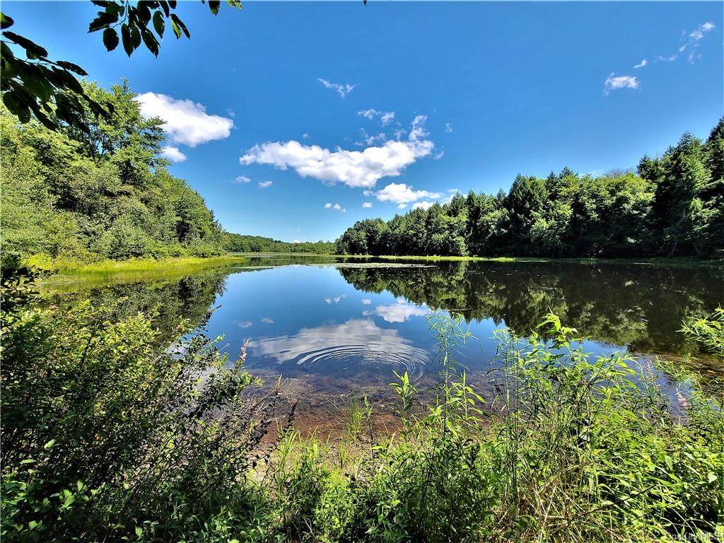 Beaver Lake Road - Photo 1