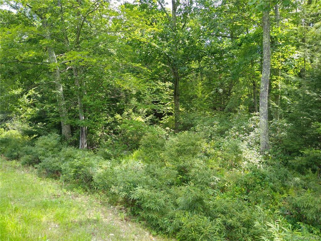 Fox Hill Road Tr 55 - Photo 1