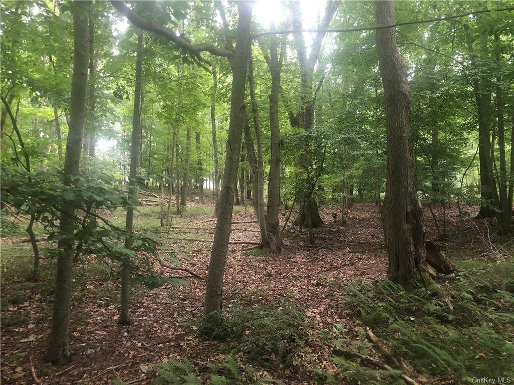Park View Rd - Lot 7 - Photo 1