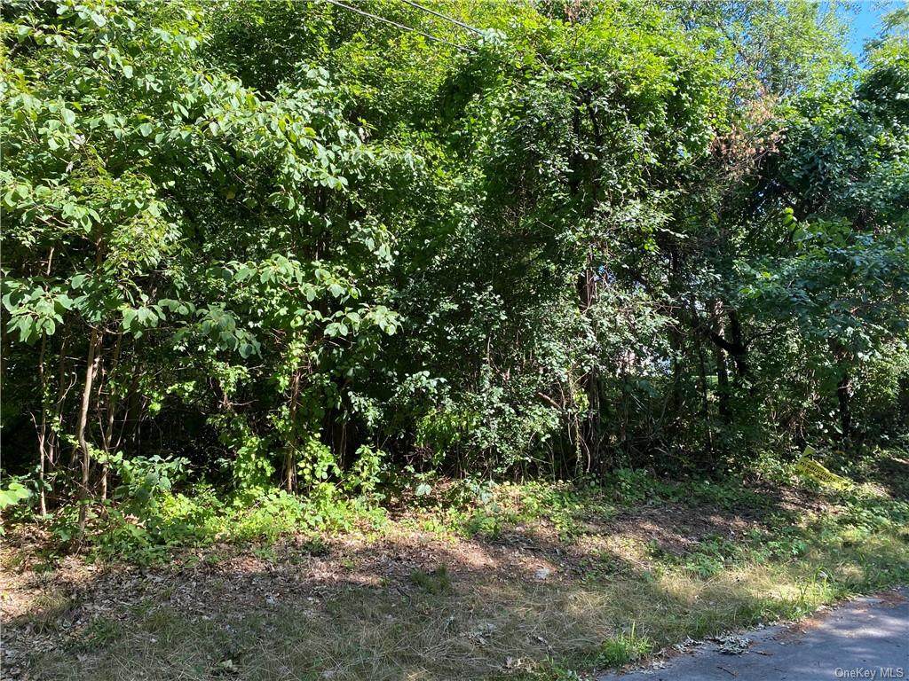 11 Hamilton Drive - Photo 1