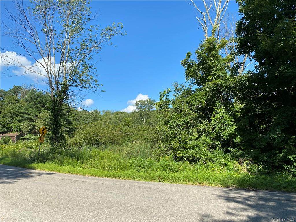 447 Stormville Mountain Road - Photo 1