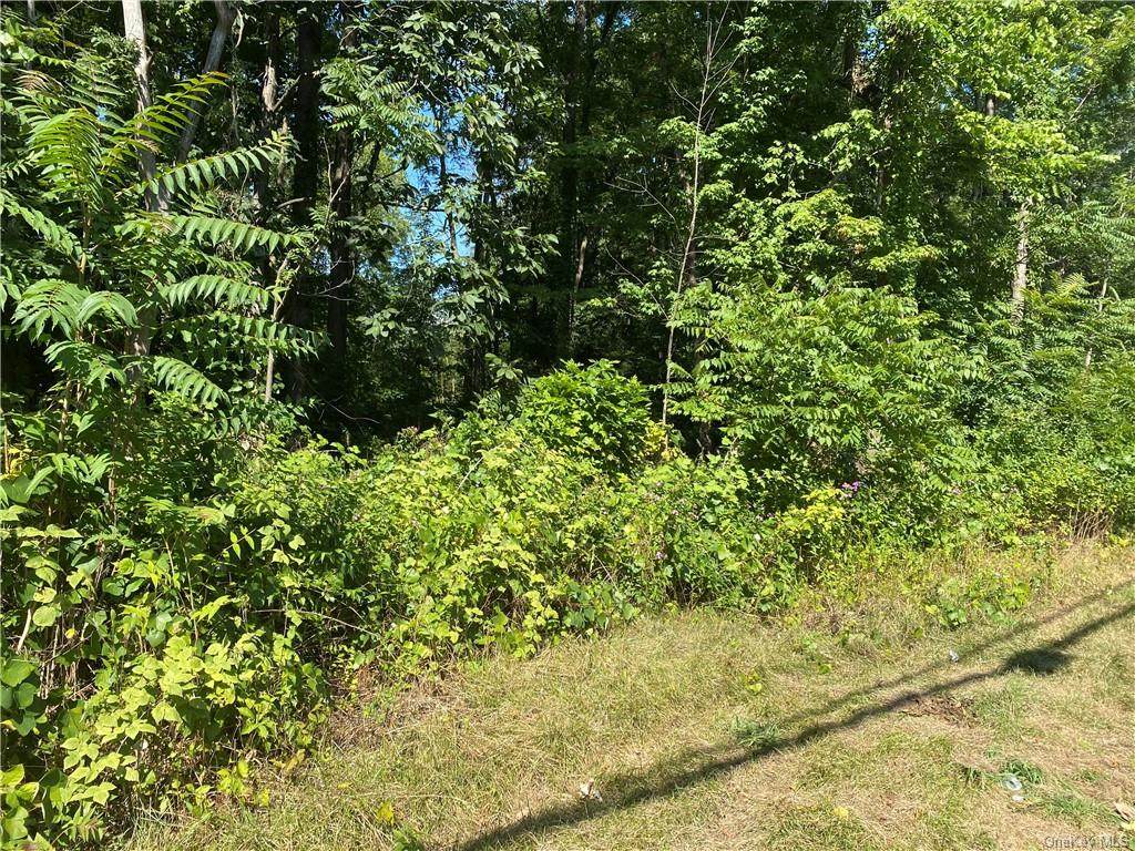 Middlebush Road - Photo 1