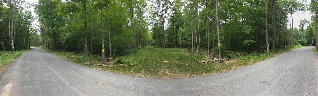 Brandy Brook Road - Photo 1