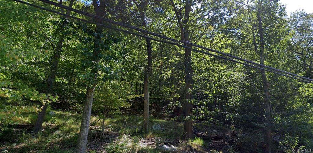 142 Call Hollow Road - Photo 1