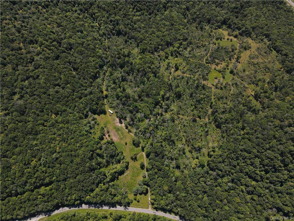 232 Tanzman - Photo 1