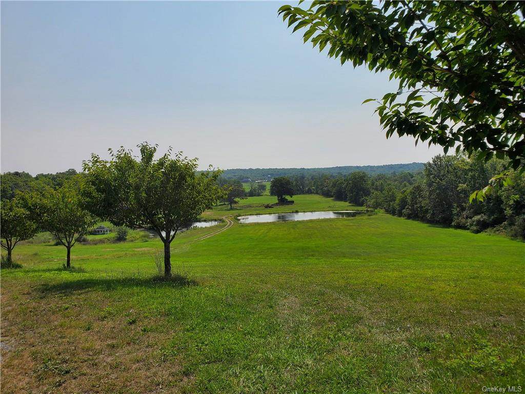 1812 Route 284 - Photo 1