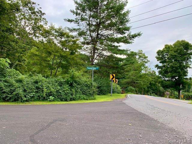 488 Pleasant Ridge Road - Photo 1