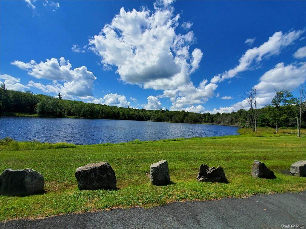 Pine Lake Drive - Photo 1