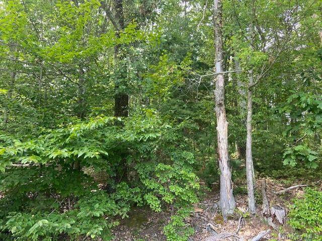 Old Glen Wild Marsh Road Tr 83 - Photo 1
