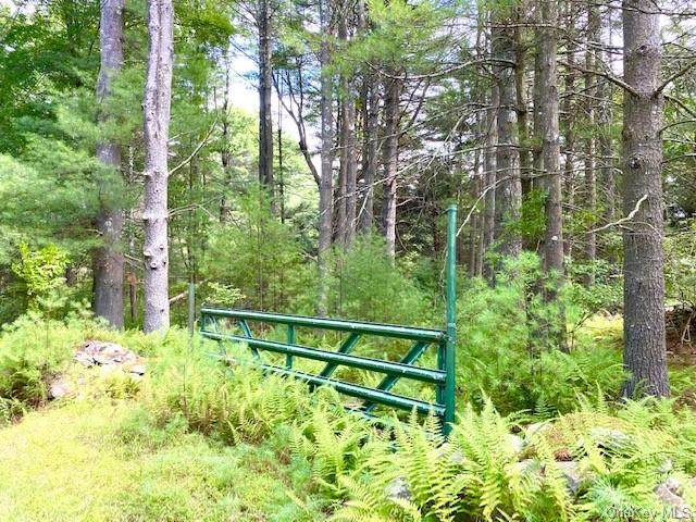 323 White Road - Photo 1