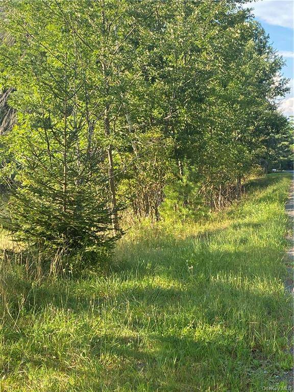 Heiden Road - Photo 1