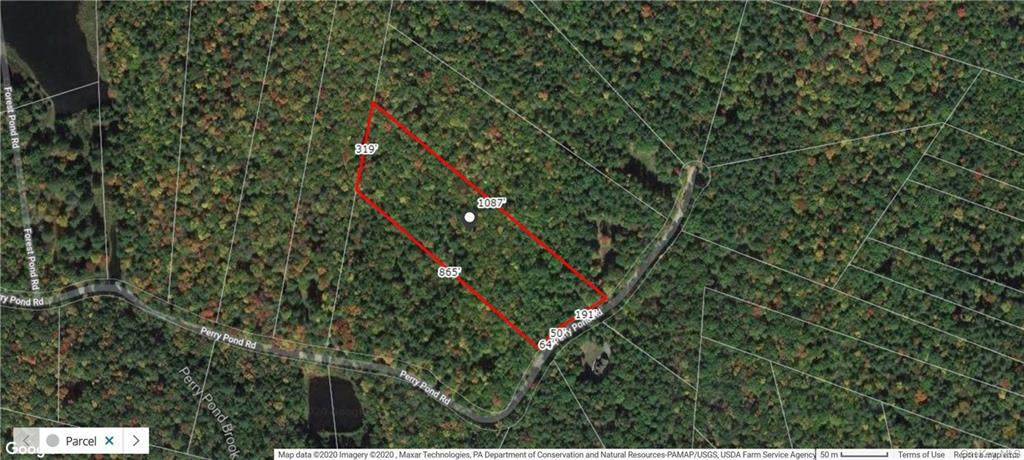 Lot 59 Perry Pond Road (Nys Rt 97) - Photo 1