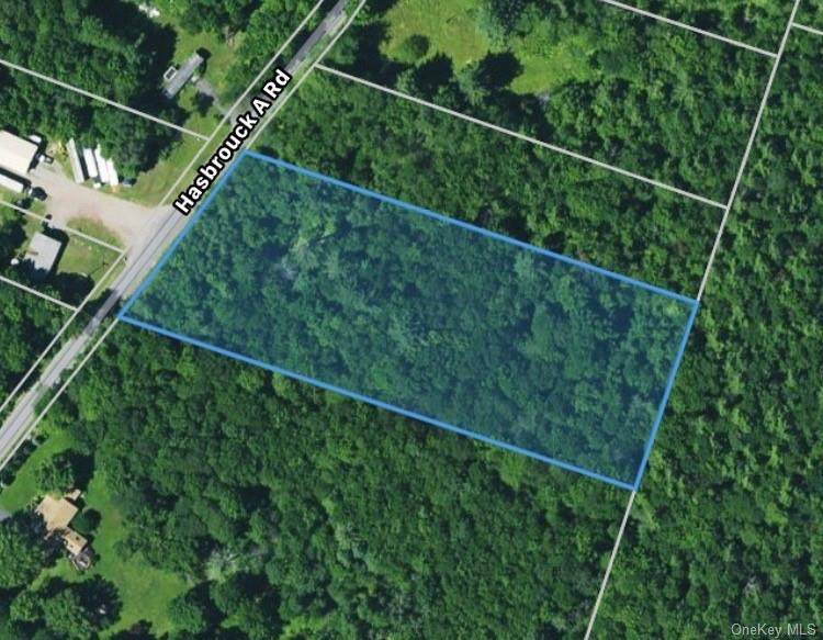 Hasbrouck Road Tr 43 - Photo 1